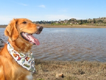 Tiki Hiking